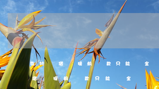 支付寶借唄提前還款只能還全額嗎-支付寶借唄提前還款只能還全額嗎
