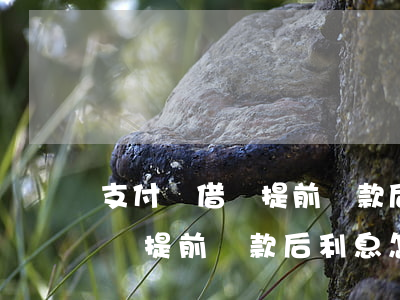 支付寶借唄提前還款后利息怎樣-支付寶借唄提前還款后利息怎樣算