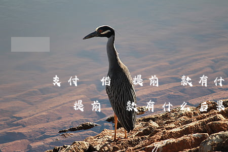 支付寶借唄提前還款有什么后果-支付寶借唄提前還款有什么后果嗎