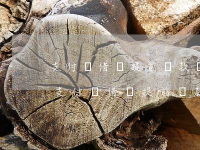 支付寶借唄提前還款還是下個(gè)月-支付寶借唄提前還款還是下個(gè)月還款