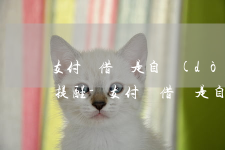 支付寶借唄是自動(dòng)還款還是有提醒-支付寶借唄是自動(dòng)還款還是有提醒還款