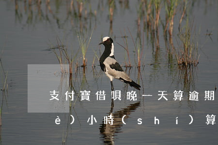 支付寶借唄晚一天算逾期 借唄晚了半個(gè)小時(shí)算逾期么