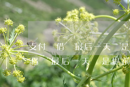 支付寶借唄最后一天還是提前還款-支付寶借唄最后一天還是提前還款嗎