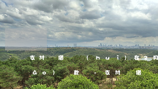 支付寶借唄會(huì)在2月30號(hào)還款嗎-支付寶借唄會(huì)在2月30號(hào)還款嗎為什么