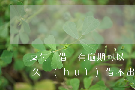 支付寶借唄有逾期可以嗎(支付寶借唄逾期多久會(huì)借不出來)