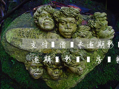 支付寶借唄未逾期影響貸款(支付寶借唄沒有逾期會影響買房貸款嗎)