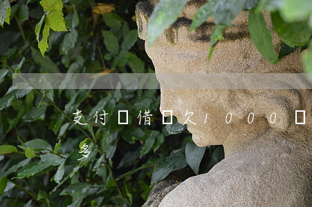 支付寶借唄欠1000塊(支付寶借唄欠1萬多)