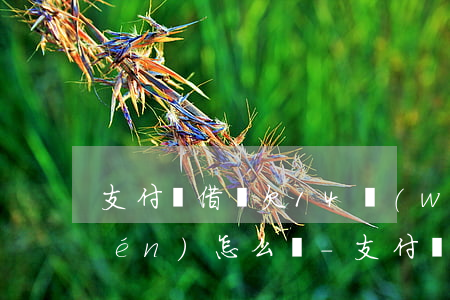 支付寶借唄欠14萬(wàn)要上門(mén)怎么辦-支付寶借唄欠14萬(wàn)要上門(mén)怎么辦呢