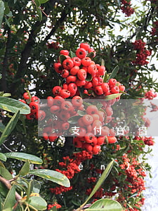支付寶借唄欠14萬(wàn)要上門(mén)怎么辦(支付寶借唄欠4000兩年沒(méi)還說(shuō)要上門(mén))