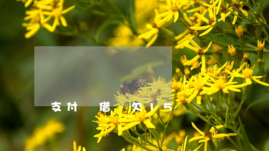 支付寶借唄欠15萬