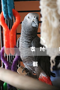 支付寶借唄欠1萬8(支付寶借唄欠1萬七的截圖)
