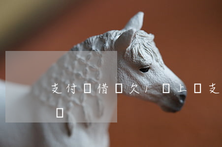 支付寶借唄欠1萬上門(支付寶借唄欠1萬上門)