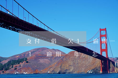 支付寶借唄欠1萬逾期一年-支付寶借唄欠1萬逾期一年會怎樣