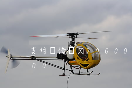 支付寶借唄欠20000怎么辦(欠借唄5000)