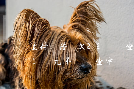 支付寶借唄欠22萬會坐牢嗎(欠支付寶借唄1萬元不還會坐牢嗎?)