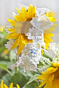 支付寶借唄欠2萬(wàn)8千元能判刑嗎(欠借唄8萬(wàn)花唄2萬(wàn)有錢花10萬(wàn),會(huì)坐牢嗎)