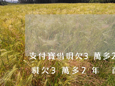 支付寶借唄欠3萬多2年沒還了-支付寶借唄欠3萬多2年沒還了怎么辦