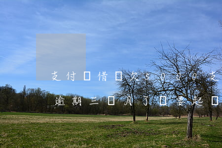 支付寶借唄欠5000(支付寶借唄欠款8萬逾期三個月了說要起訴)
