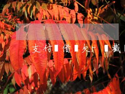 支付寶借唄欠5萬截圖