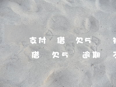 支付寶借唄欠5萬會被起訴坐牢嗎-支付寶借唄欠5萬逾期會不會坐牢