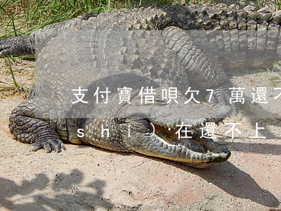 支付寶借唄欠7萬還不起(借唄欠了8萬實(shí)在還不上)