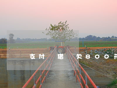 支付寶借唄欠800元(支付寶借唄欠1萬多)