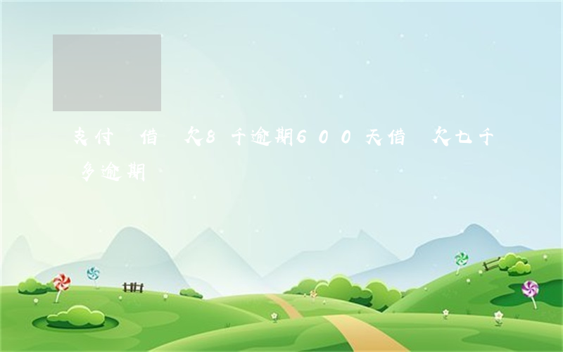 支付寶借唄欠8千逾期600天(借唄欠七千多逾期)