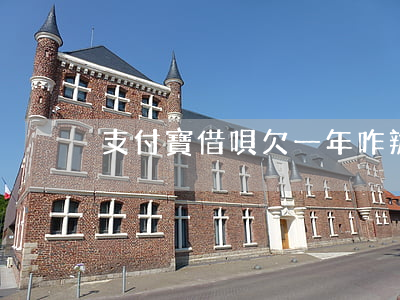 支付寶借唄欠一年咋辦(借唄欠兩年)