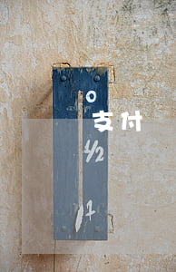 支付寶借唄欠一萬兩年沒還