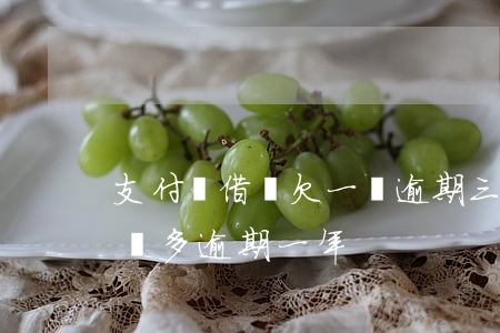 支付寶借唄欠一萬逾期三年了(支付寶借唄一萬多逾期一年)