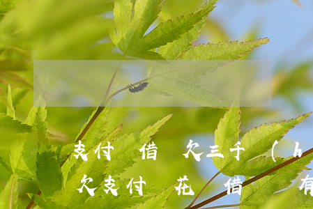 支付寶借唄欠三千會(huì)上門走訪嗎(欠支付寶花唄借唄錢有人說上門走訪是真是假)