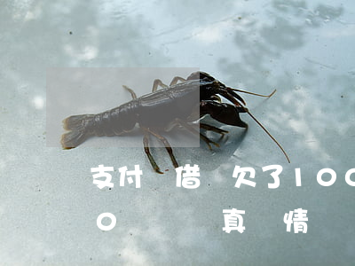 支付寶借唄欠了1000塊沒還(借唄欠了10萬沒還真實情況)