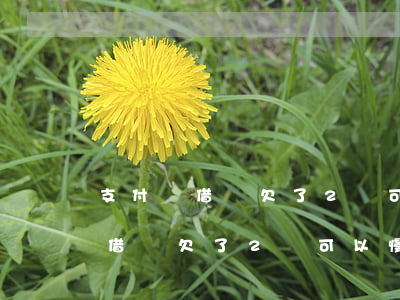 支付寶借唄欠了2萬可以慢慢還了-支付寶借唄欠了2萬可以慢慢還了嗎