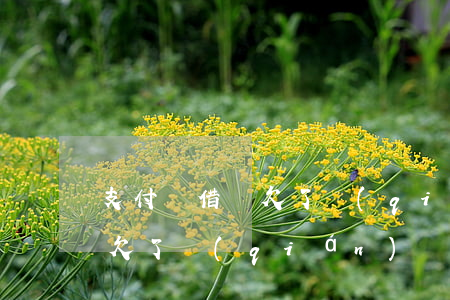 支付寶借唄欠了錢(qián)(支付寶借唄欠了錢(qián),買(mǎi)房子貸款可以貸嗎?)
