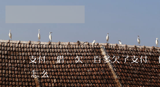 支付寶借唄欠兩百多(欠了支付寶借唄20萬怎么辦)