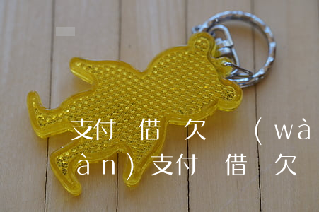 支付寶借唄欠兩萬(wàn)還了一萬(wàn)(支付寶借唄欠兩萬(wàn)還了一萬(wàn))