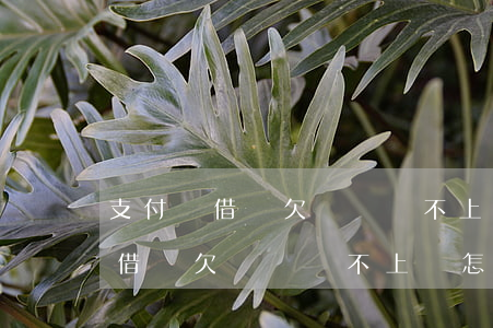 支付寶借唄欠兩萬還不上會怎么樣-支付寶借唄欠兩萬還不上會怎么樣嗎