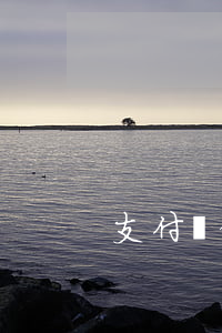 支付寶借唄欠六萬多