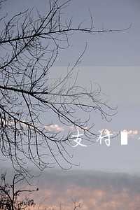 支付寶借唄欠十萬(wàn)逾期