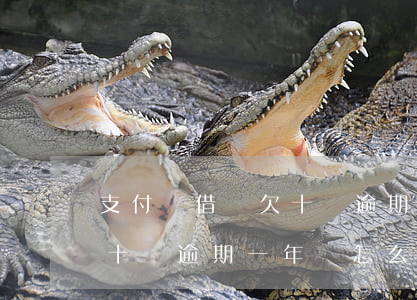支付寶借唄欠十萬逾期一年-支付寶借唄欠十萬逾期一年會怎么樣