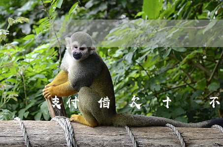 支付寶借唄欠幾十萬還不起會怎樣