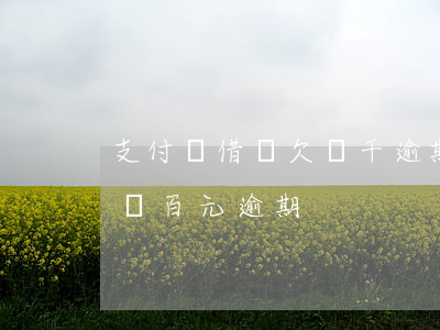 支付寶借唄欠幾千逾期了怎么辦(支付寶借唄幾百元逾期)