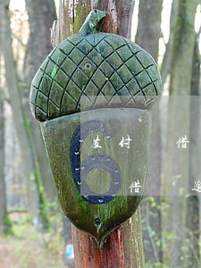 支付寶借唄欠款三萬逾期一年多要還多少(螞蟻借唄逾期三年了)