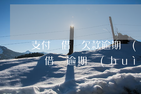 支付寶借唄欠款逾期會(huì)怎樣(支付寶借唄逾期會(huì)怎樣?)