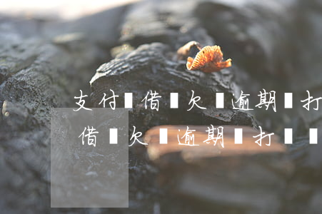 支付寶借唄欠錢逾期會打電話催嗎-支付寶借唄欠錢逾期會打電話催嗎是真的嗎