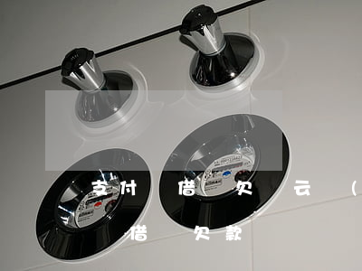 支付寶借唄欠馬云錢(qián)(支付寶花唄借唄欠款)