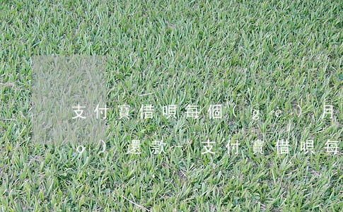 支付寶借唄每個(gè)月一般幾號(hào)還款-支付寶借唄每個(gè)月一般幾號(hào)還款啊
