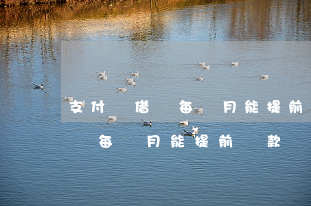 支付寶借唄每個月能提前還款嗎-支付寶借唄每個月能提前還款嗎安全嗎