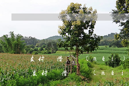 支付寶借唄沒(méi)逾期為什么不能用(支付寶借唄沒(méi)逾期為什么不能用)