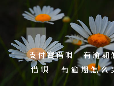 支付寶借唄沒有逾期怎么突然沒了-支付寶借唄沒有逾期怎么突然沒了呢